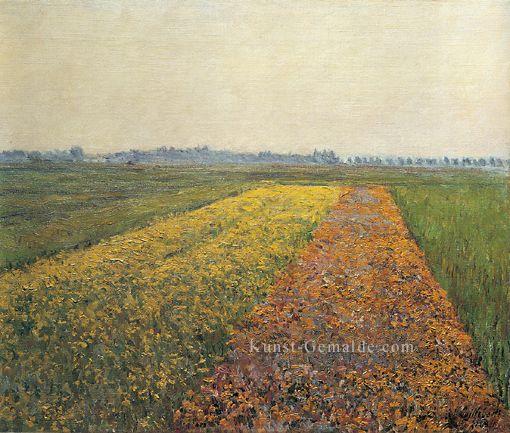 Die gelben Felder in Gennevilliers Landschaft Gustave Caillebotte Ölgemälde
